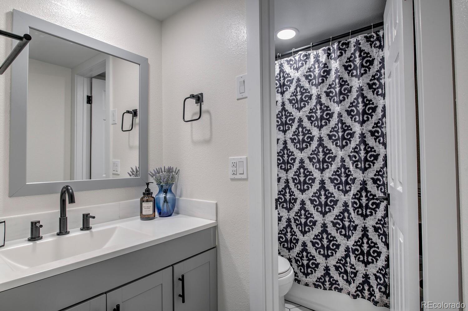MLS Image #24 for 675  straight creek drive,dillon, Colorado