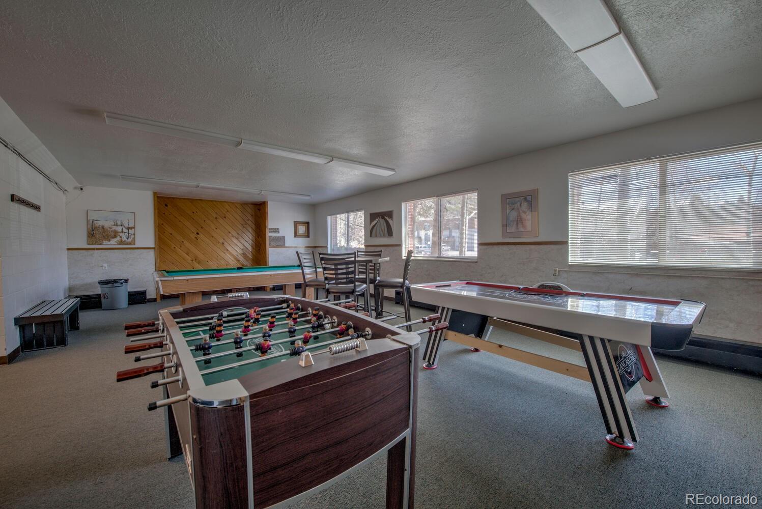 MLS Image #45 for 675  straight creek drive,dillon, Colorado