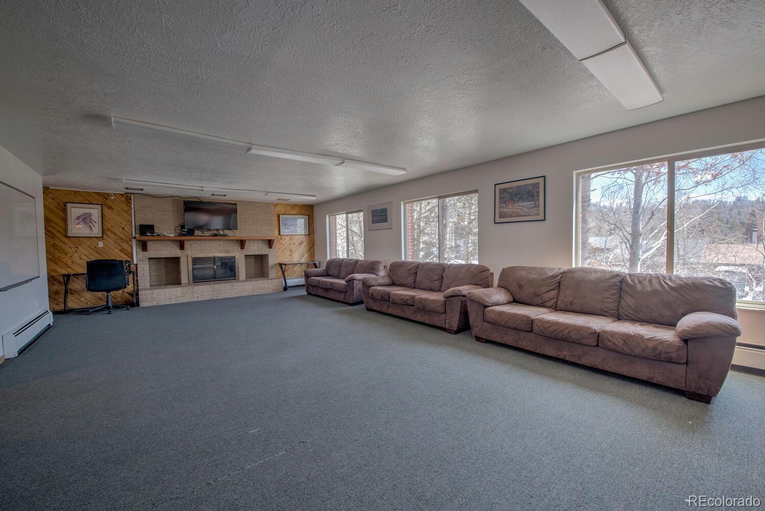 MLS Image #46 for 675  straight creek drive,dillon, Colorado