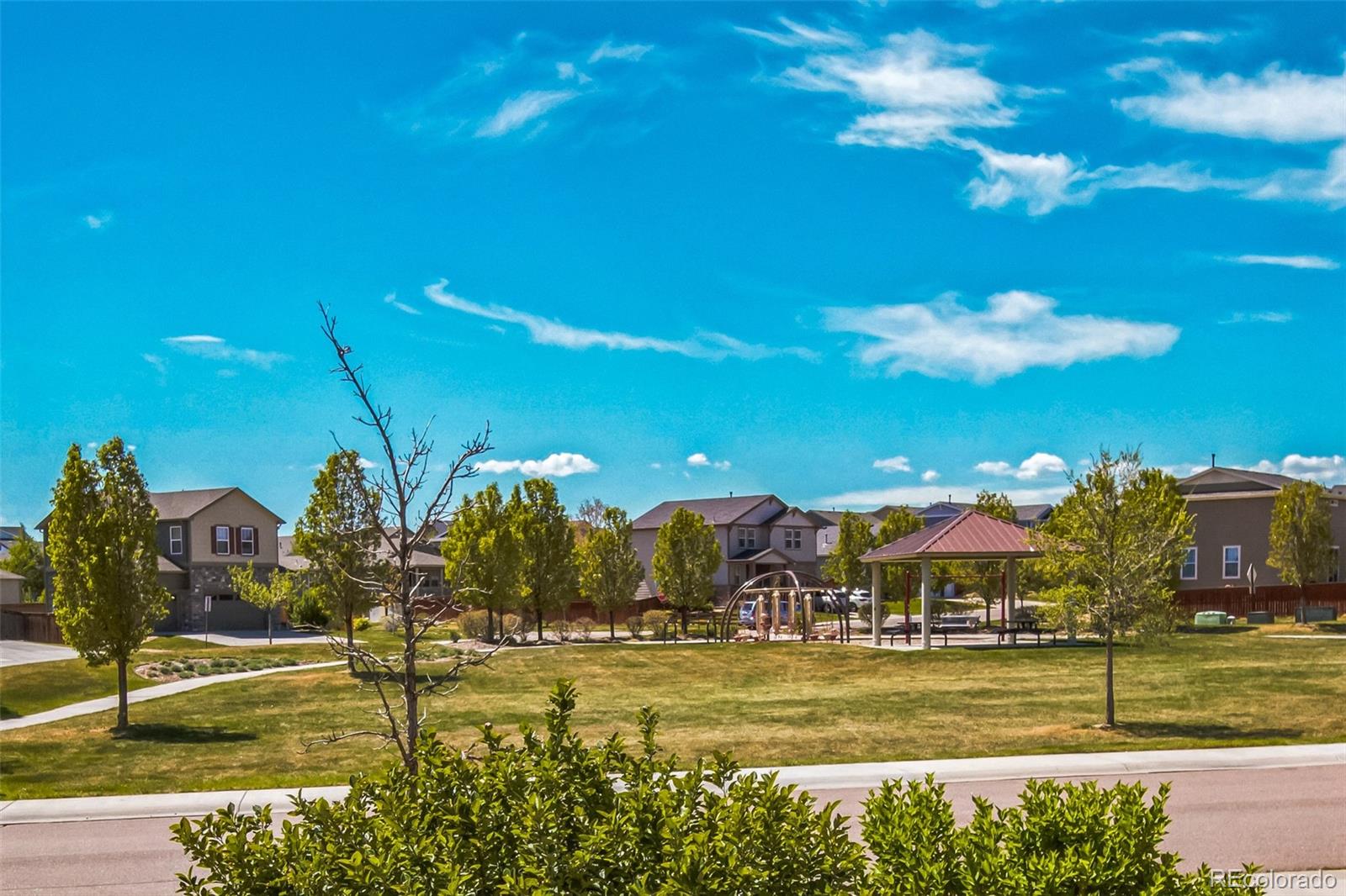 MLS Image #30 for 13644  ulster street,thornton, Colorado