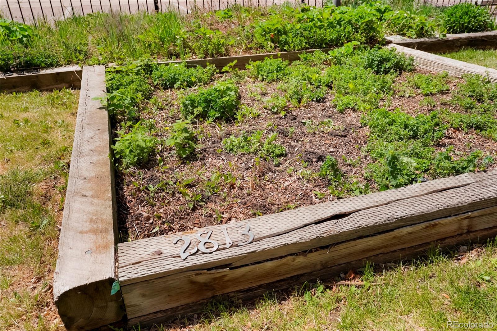 MLS Image #23 for 2813  jasmine street,denver, Colorado