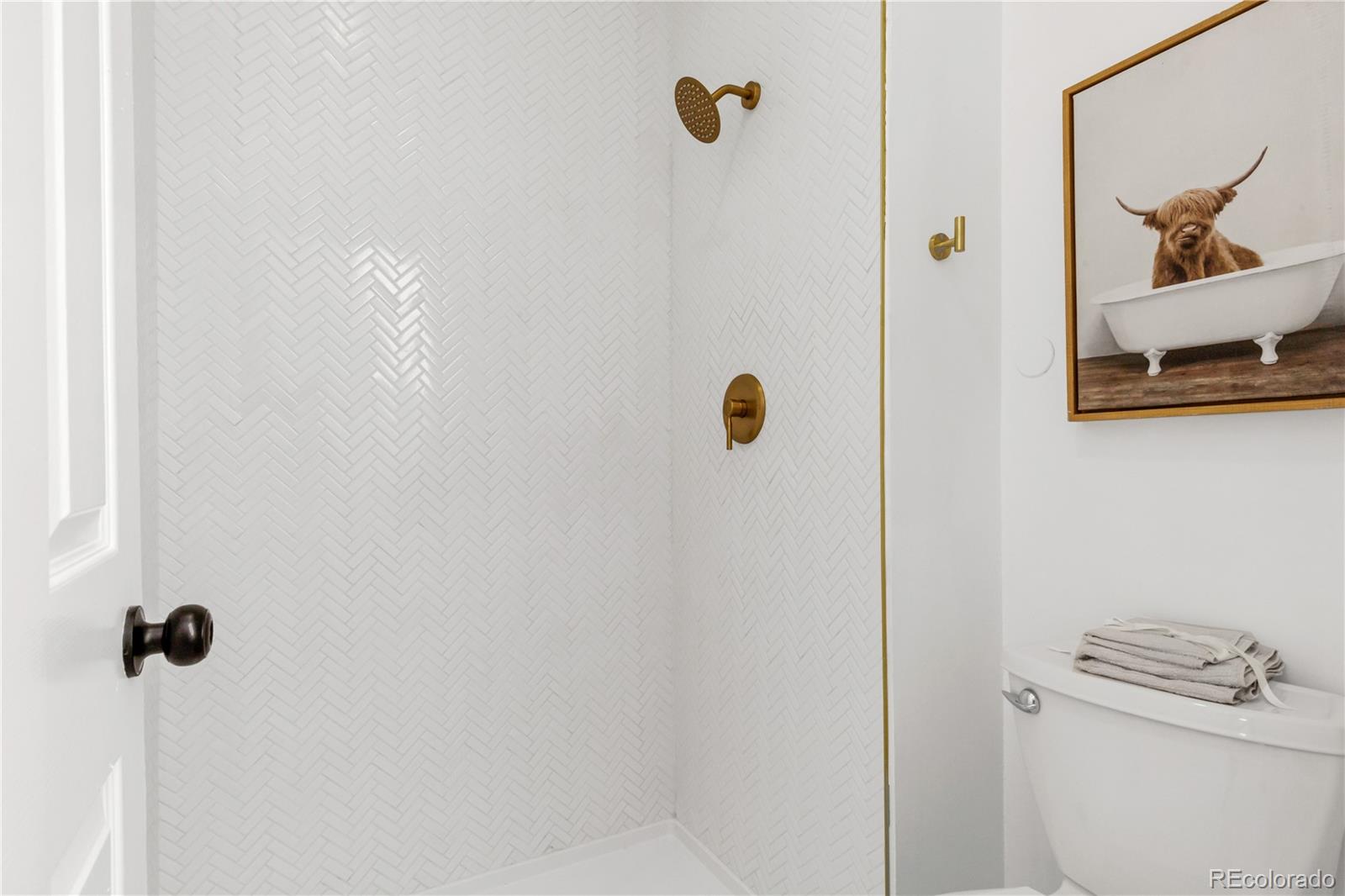 MLS Image #23 for 1260  ascot avenue,highlands ranch, Colorado