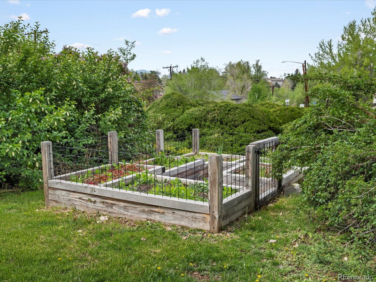 MLS Image #10 for 1580  youngfield street,lakewood, Colorado