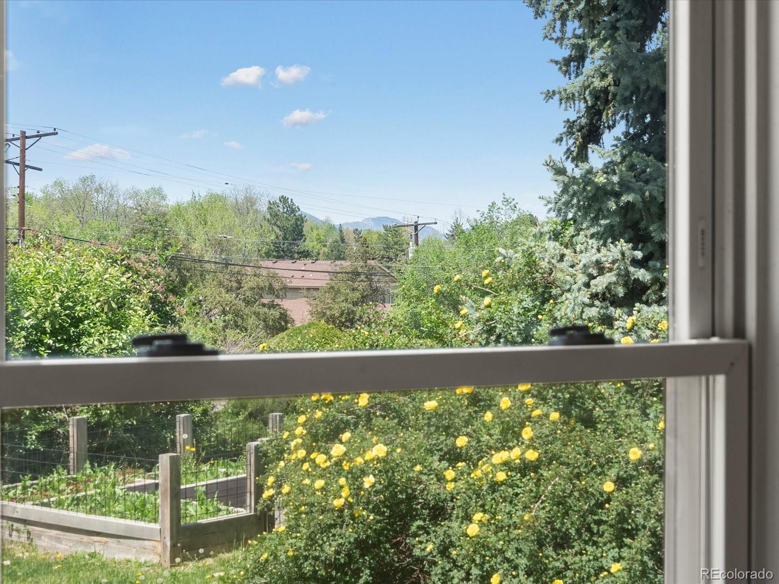 MLS Image #23 for 1580  youngfield street,lakewood, Colorado