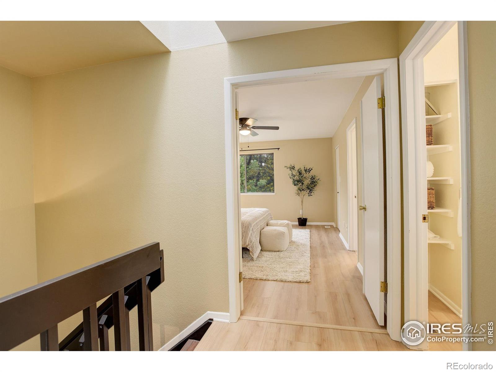 MLS Image #16 for 4647  dapple lane,boulder, Colorado
