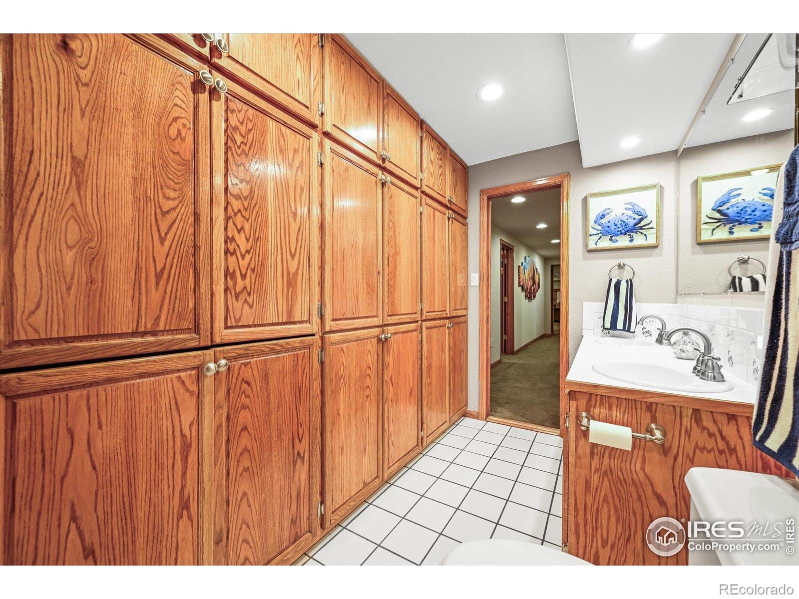 MLS Image #25 for 14531  country hills drive,brighton, Colorado