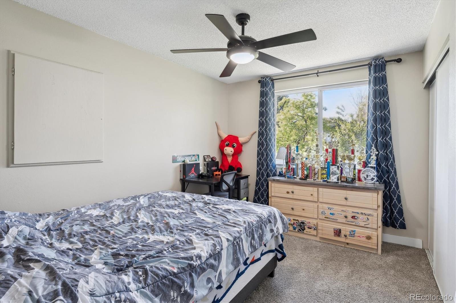 MLS Image #10 for 8004 s field street,littleton, Colorado