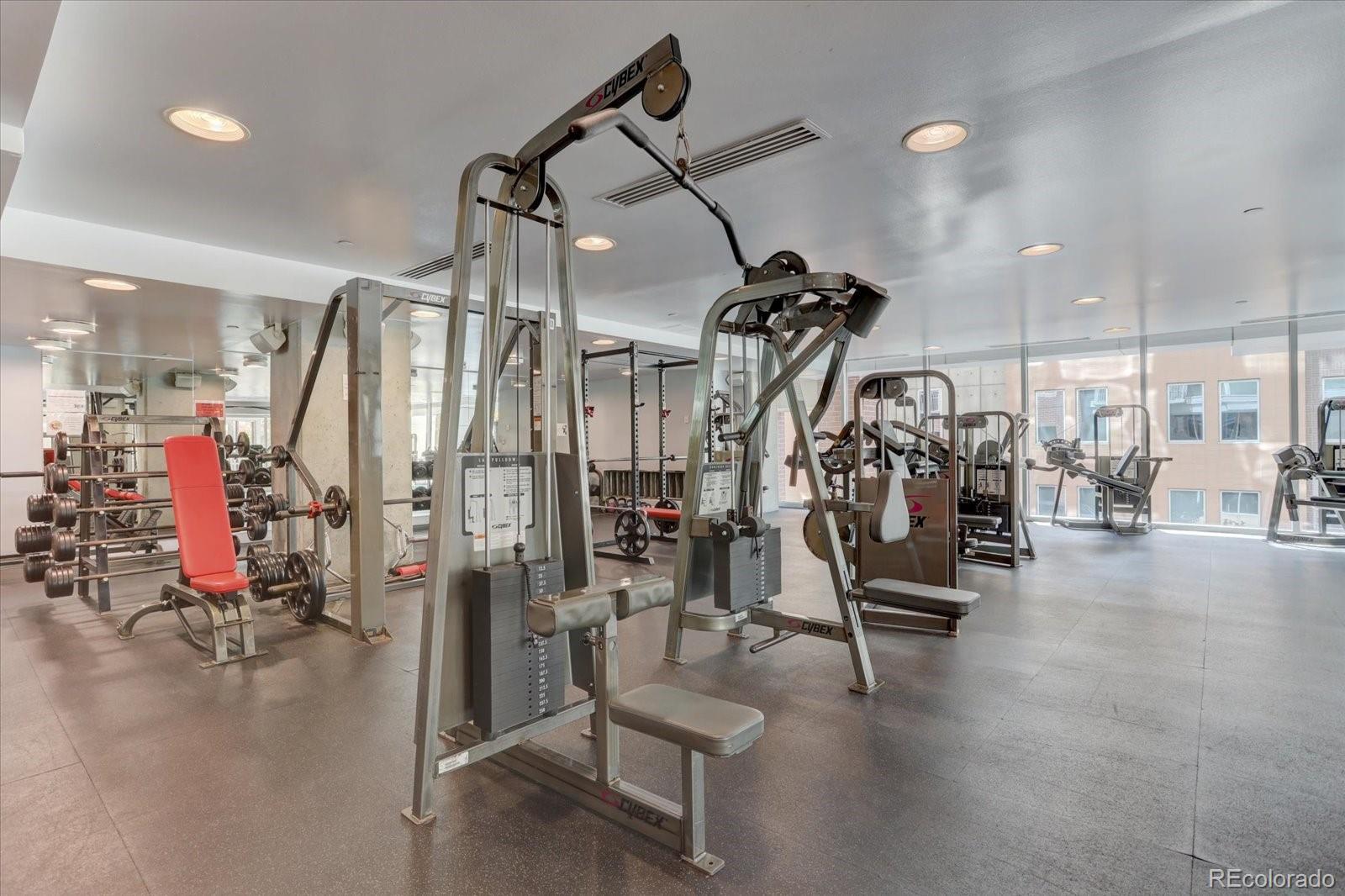 MLS Image #26 for 1700  bassett street,denver, Colorado