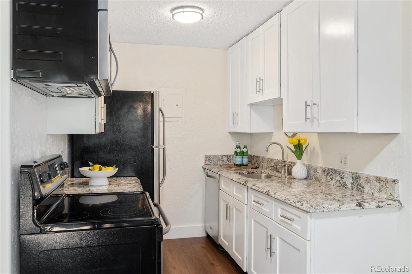 MLS Image #13 for 1233 n ogden street,denver, Colorado
