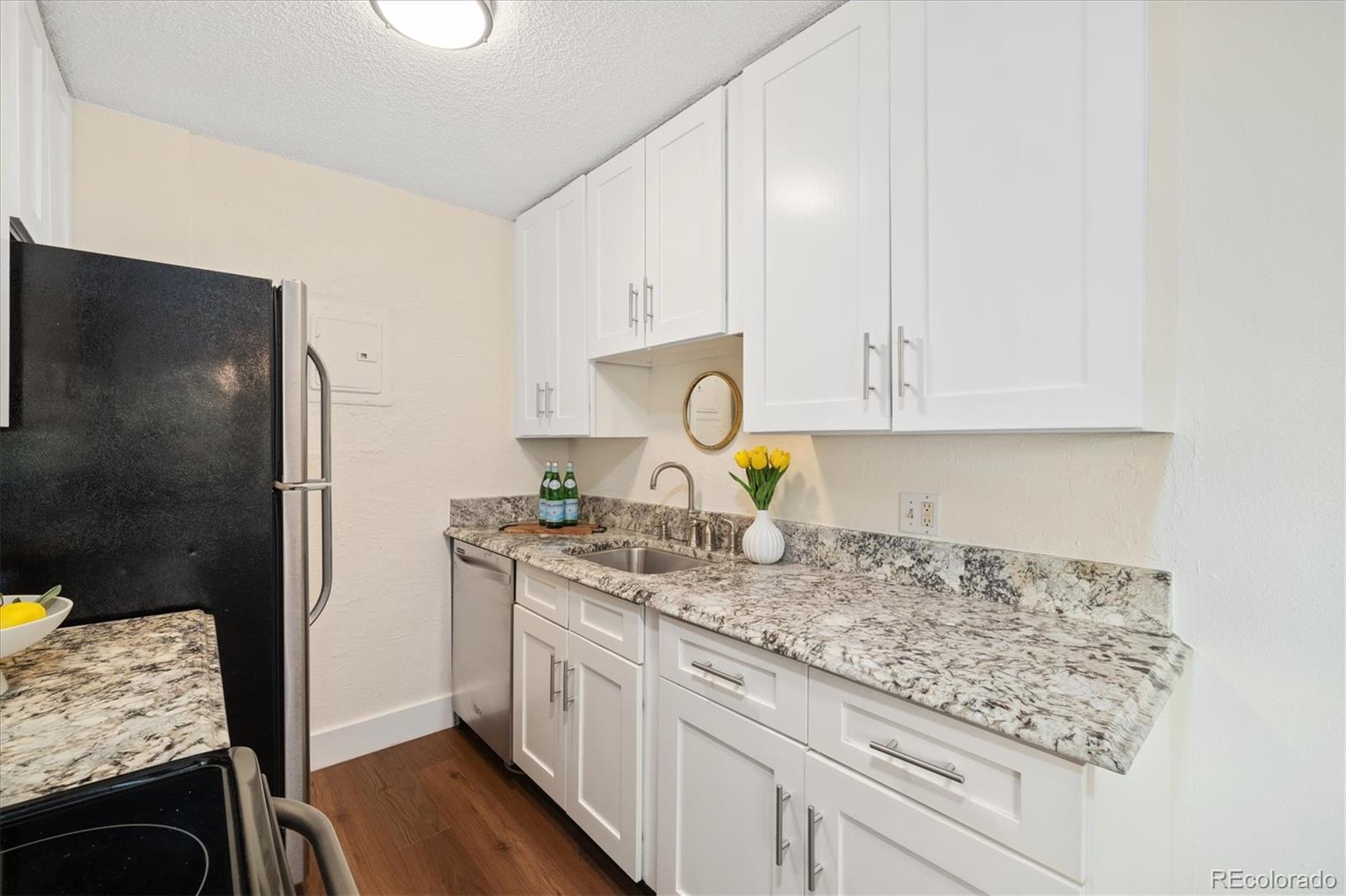 MLS Image #2 for 1233 n ogden street,denver, Colorado