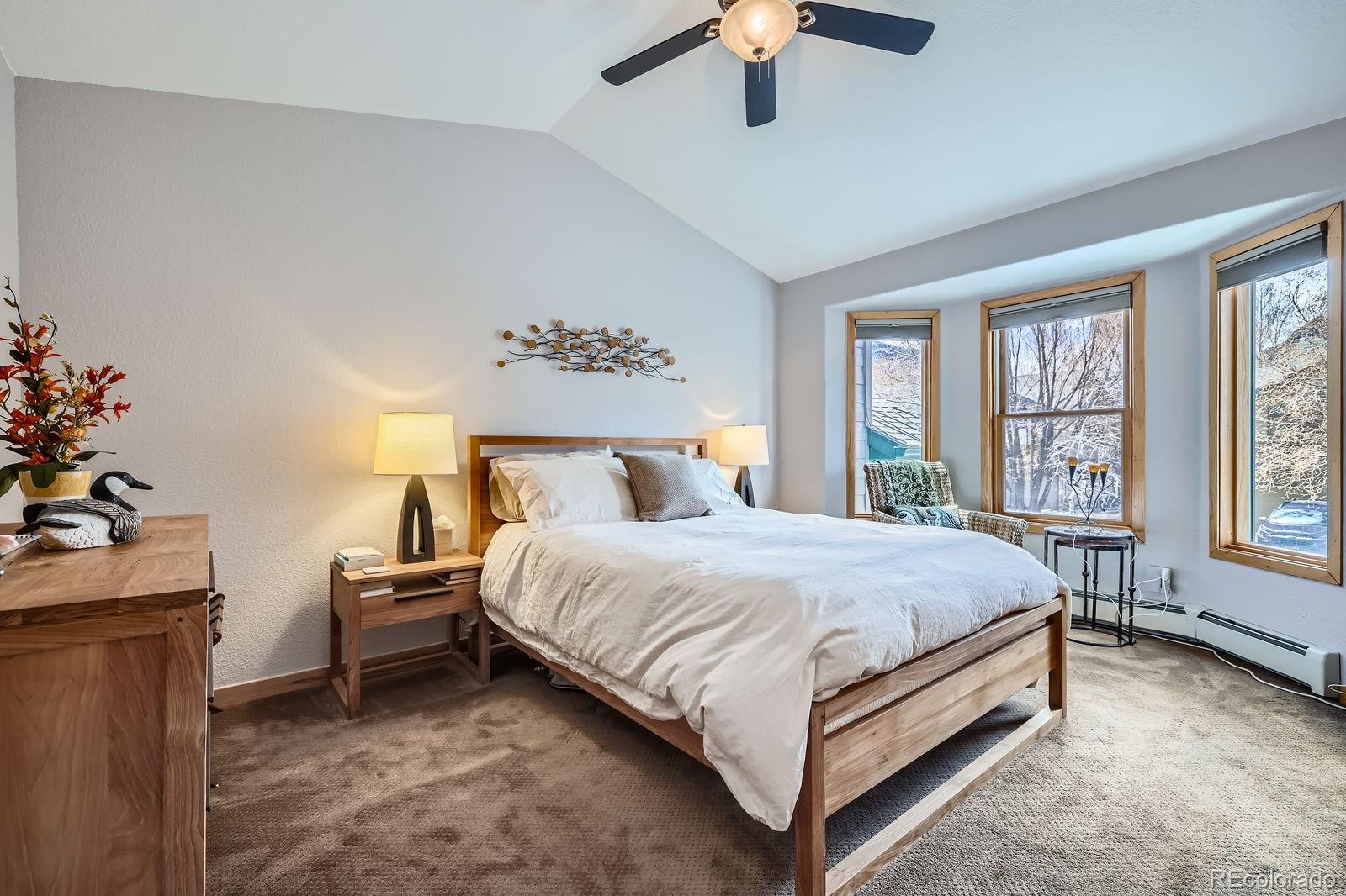 MLS Image #10 for 803  lakepoint court,frisco, Colorado