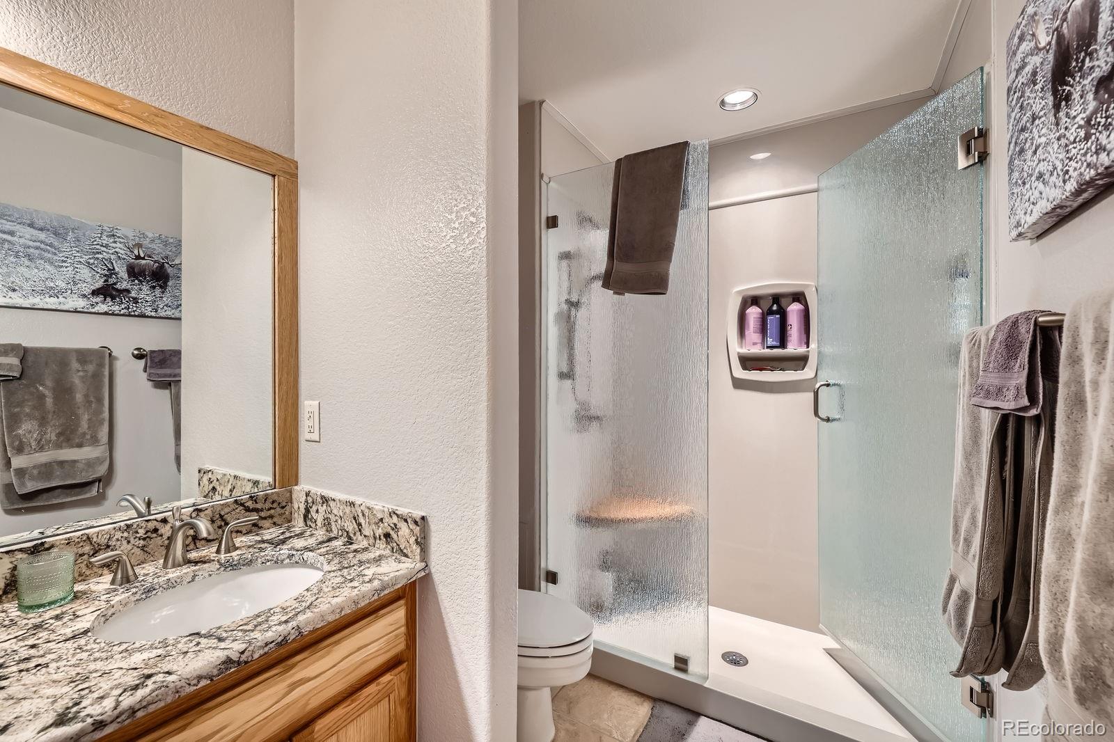 MLS Image #13 for 803  lakepoint court,frisco, Colorado