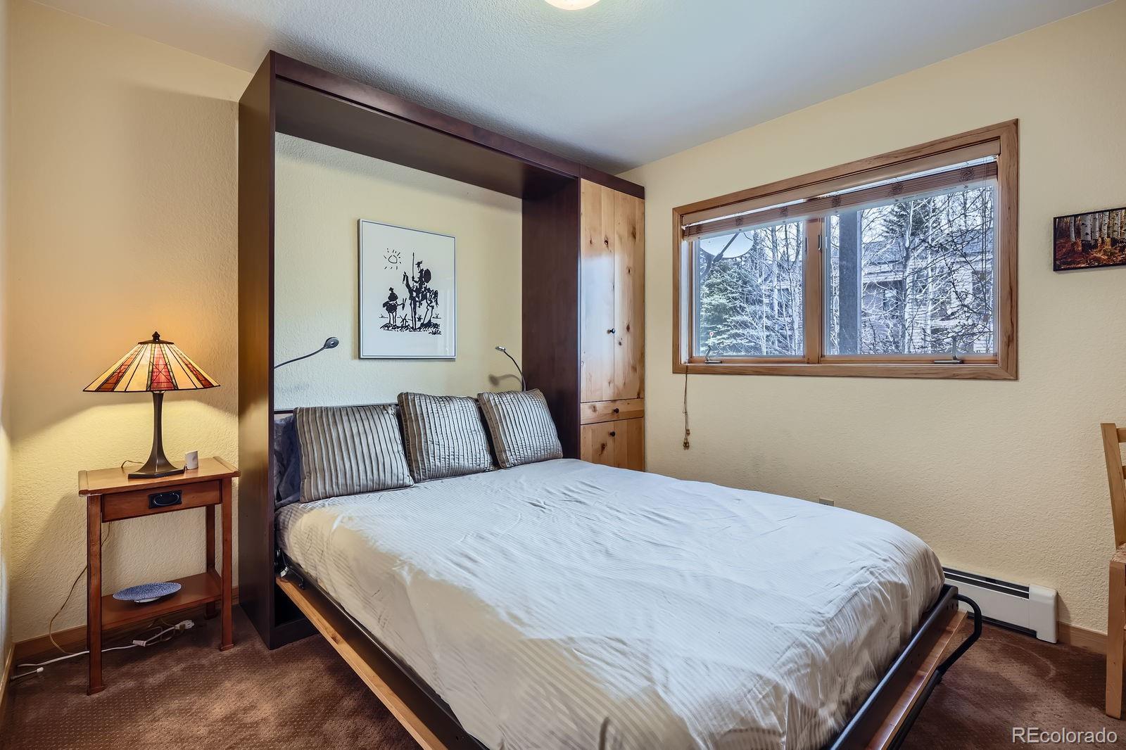 MLS Image #16 for 803  lakepoint court,frisco, Colorado