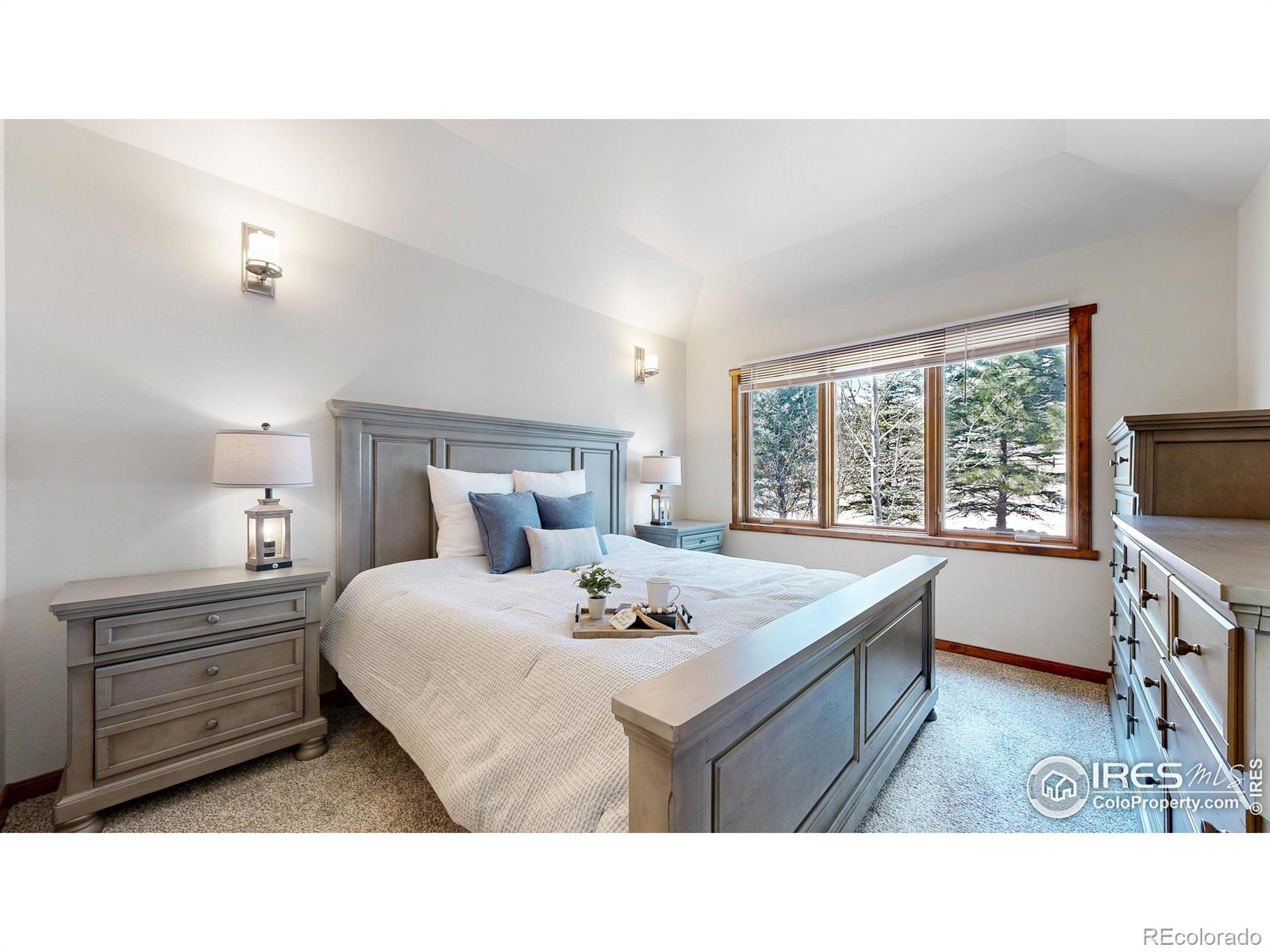 MLS Image #13 for 606  park river place,estes park, Colorado