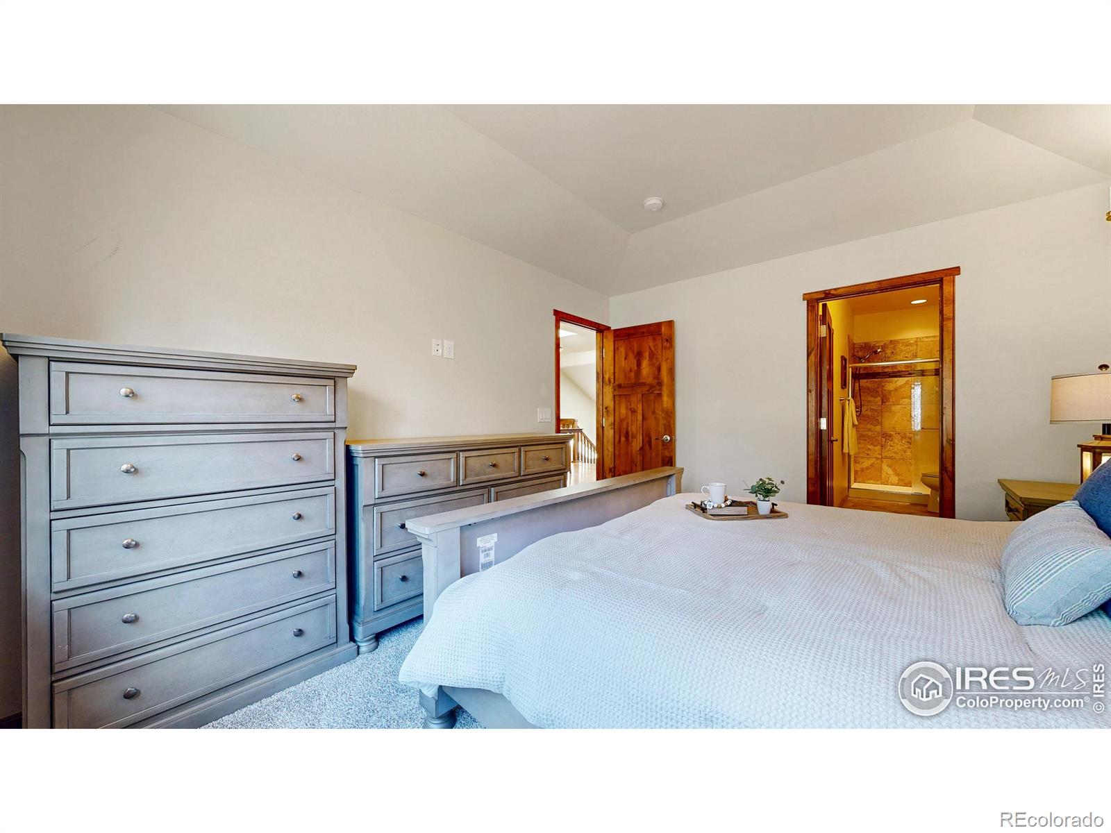 MLS Image #15 for 606  park river place,estes park, Colorado