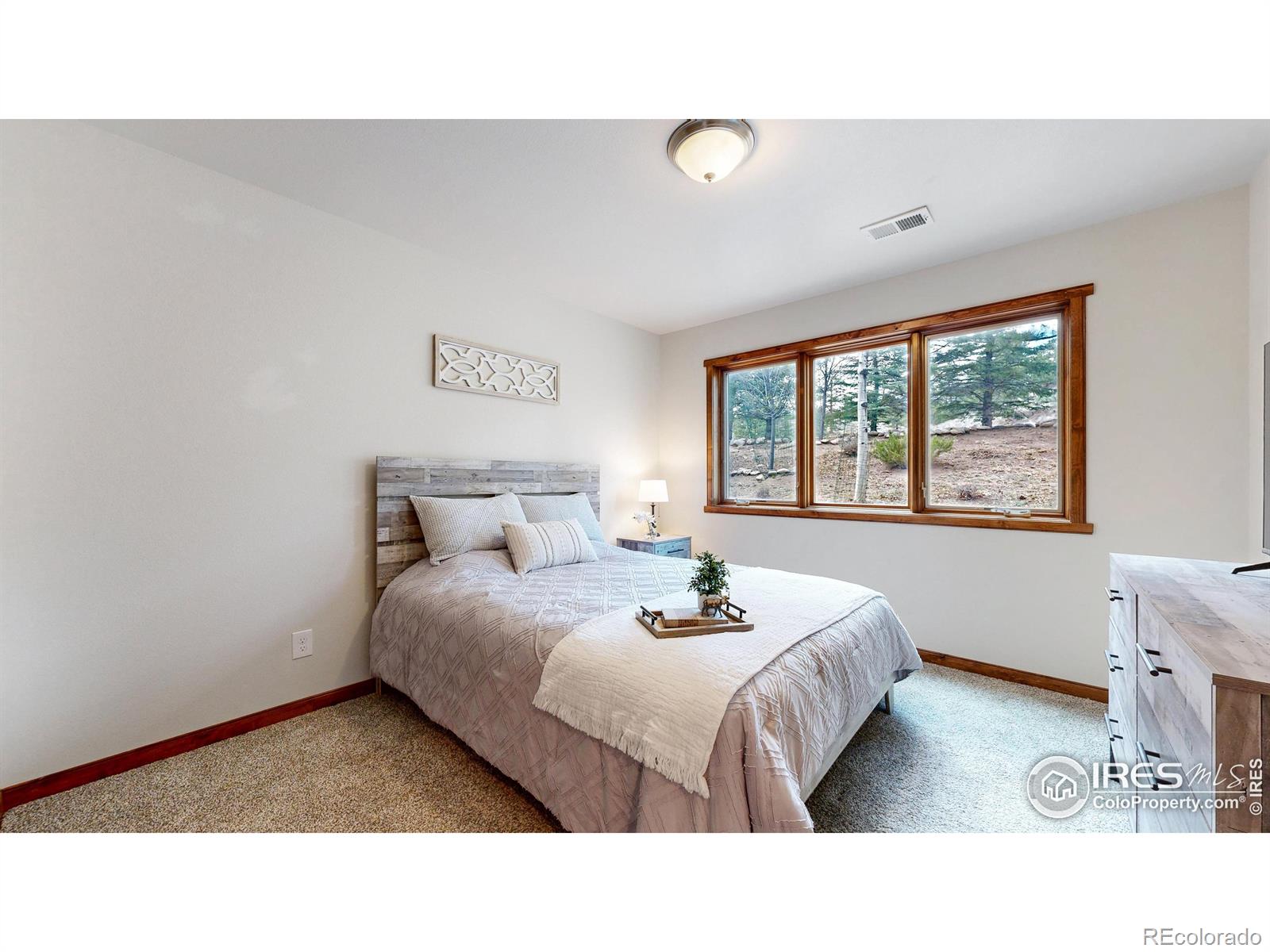 MLS Image #22 for 606  park river place,estes park, Colorado