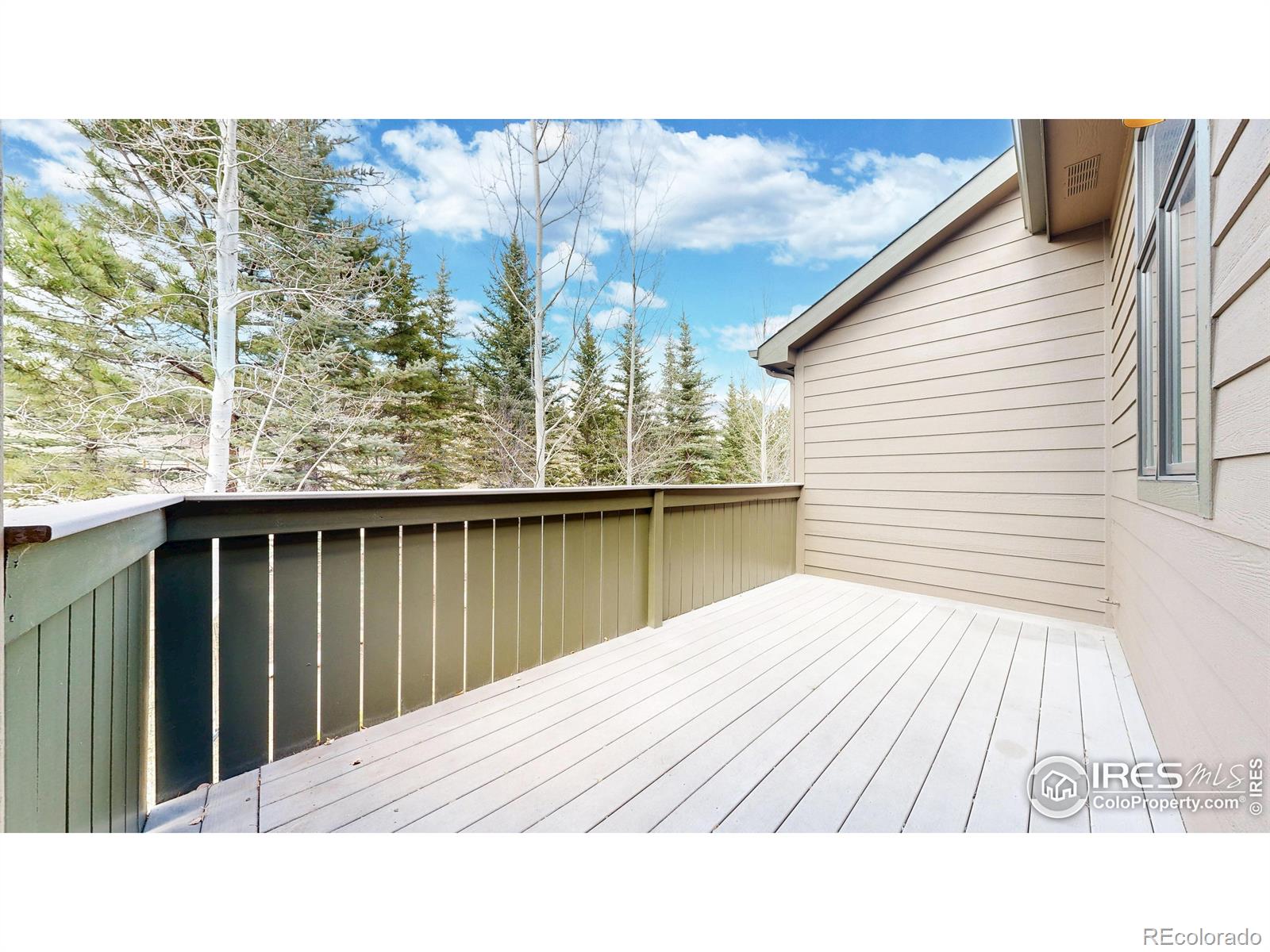 MLS Image #26 for 606  park river place,estes park, Colorado