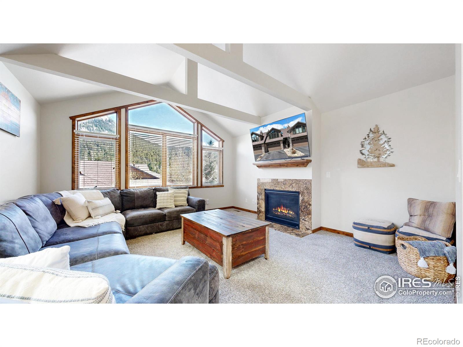 MLS Image #3 for 606  park river place,estes park, Colorado