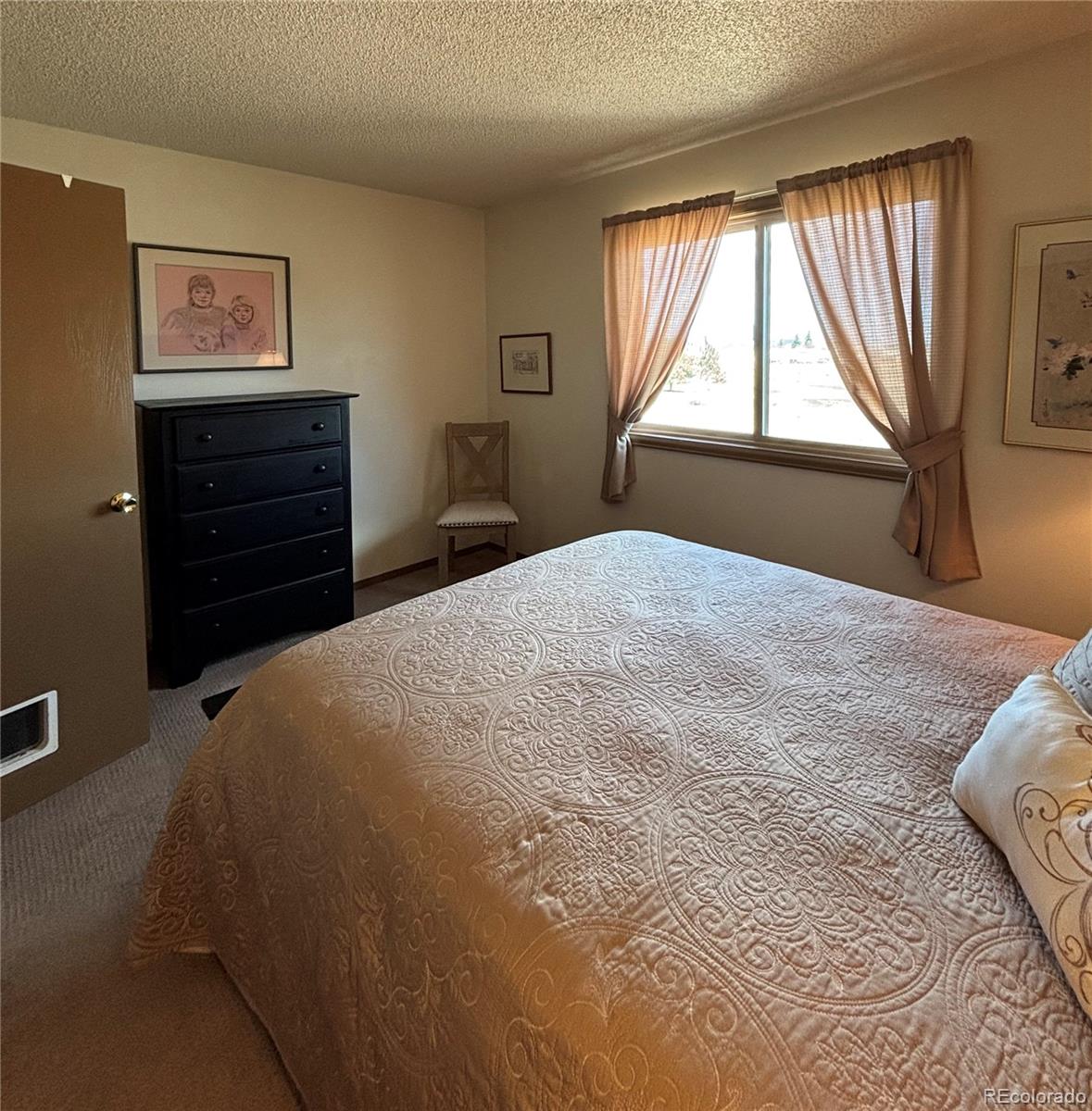 MLS Image #16 for 9  granada court,westcliffe, Colorado