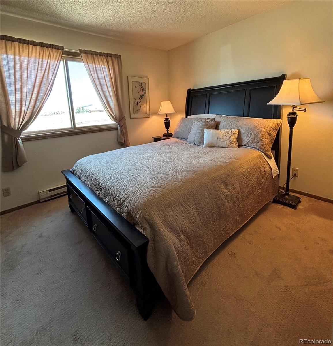 MLS Image #17 for 9  granada court,westcliffe, Colorado