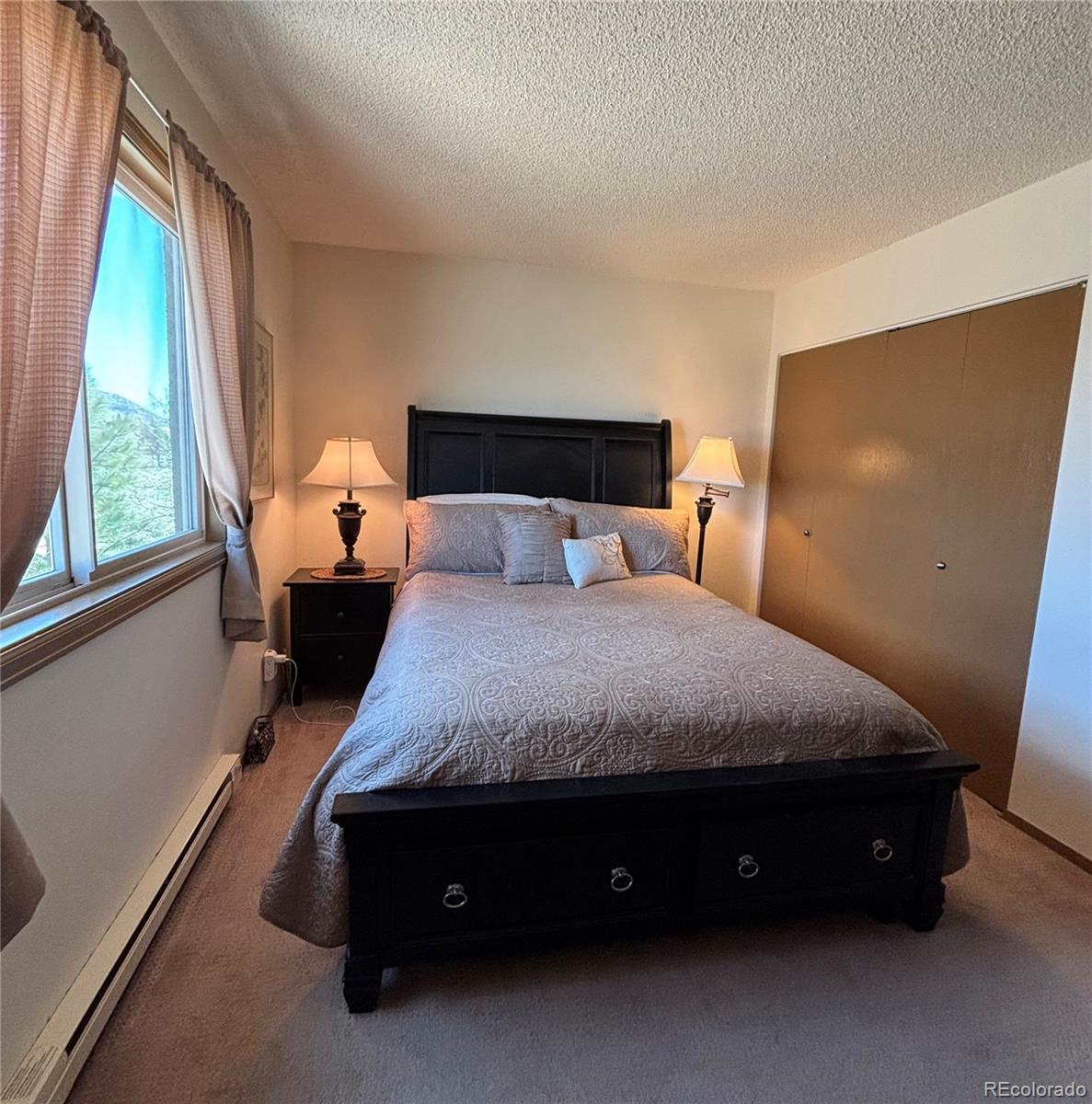 MLS Image #22 for 9  granada court,westcliffe, Colorado