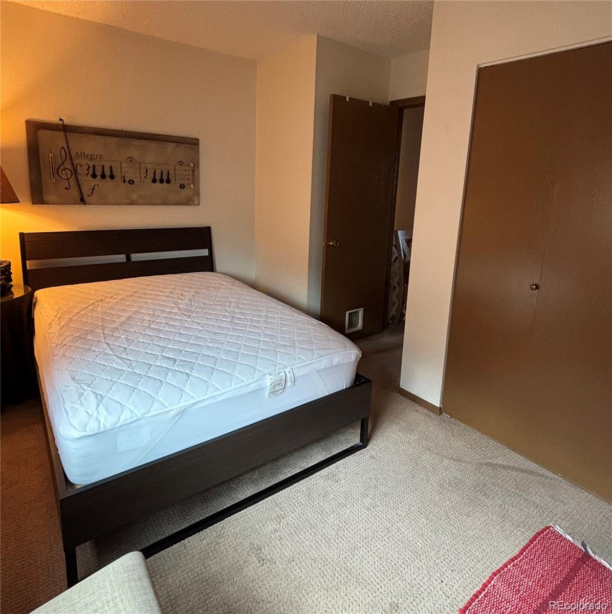 MLS Image #23 for 9  granada court,westcliffe, Colorado
