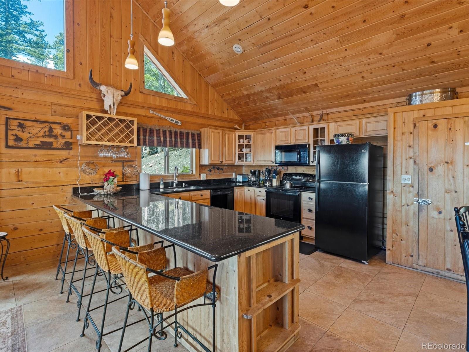 MLS Image #17 for 451  harris drive,idaho springs, Colorado