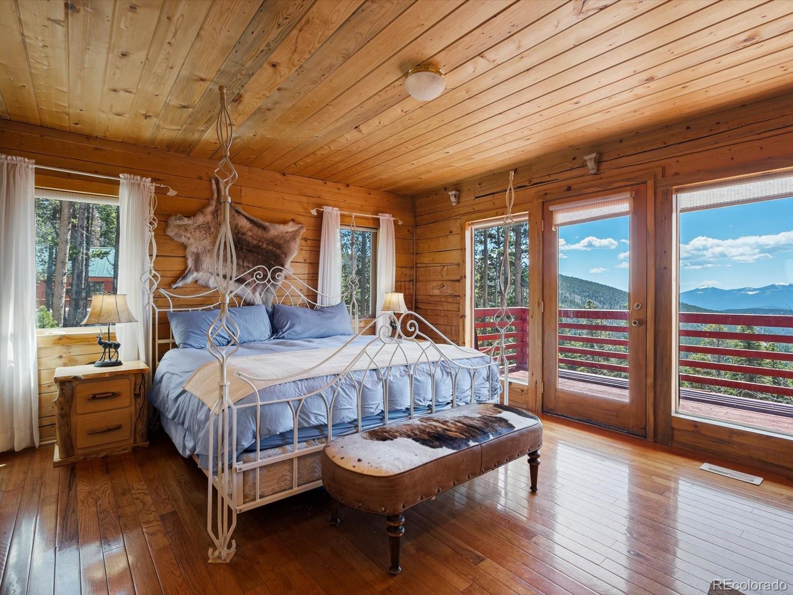 MLS Image #28 for 451  harris drive,idaho springs, Colorado