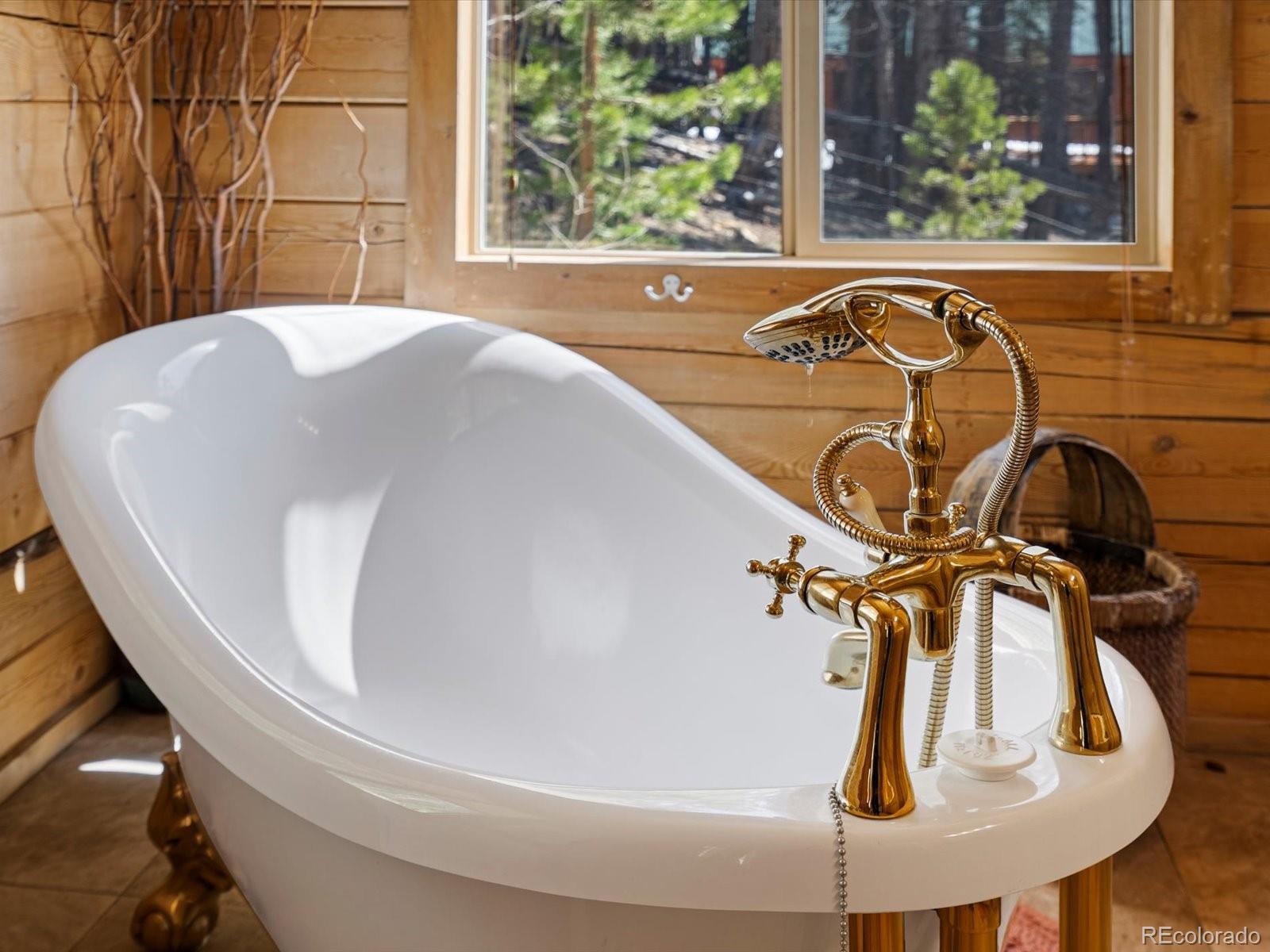 MLS Image #36 for 451  harris drive,idaho springs, Colorado