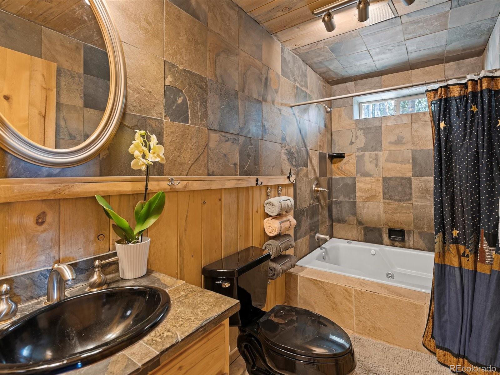 MLS Image #42 for 451  harris drive,idaho springs, Colorado