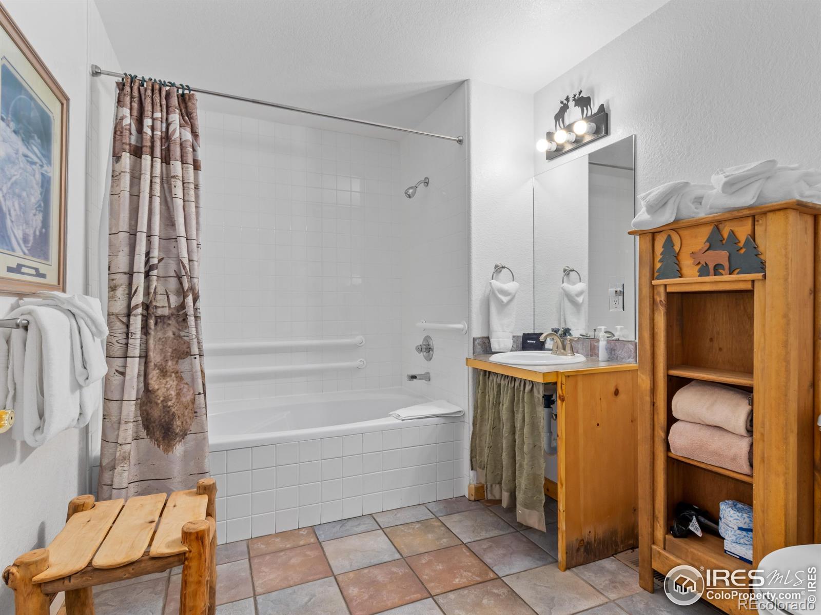 MLS Image #13 for 1480  david drive,estes park, Colorado