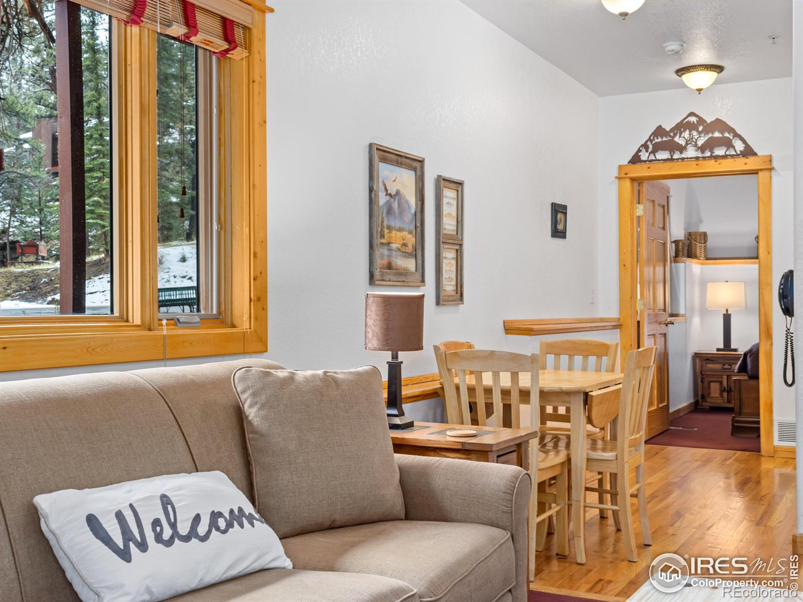 MLS Image #15 for 1480  david drive,estes park, Colorado