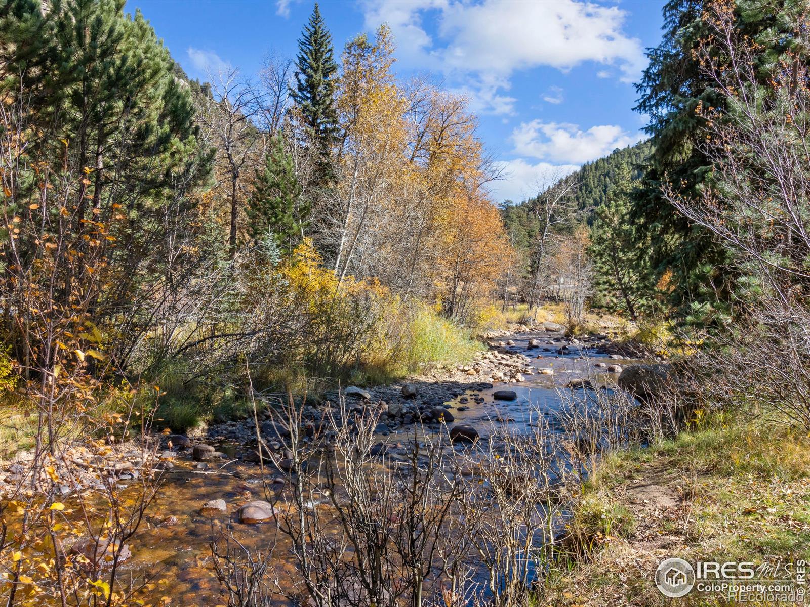 MLS Image #18 for 1480  david drive,estes park, Colorado