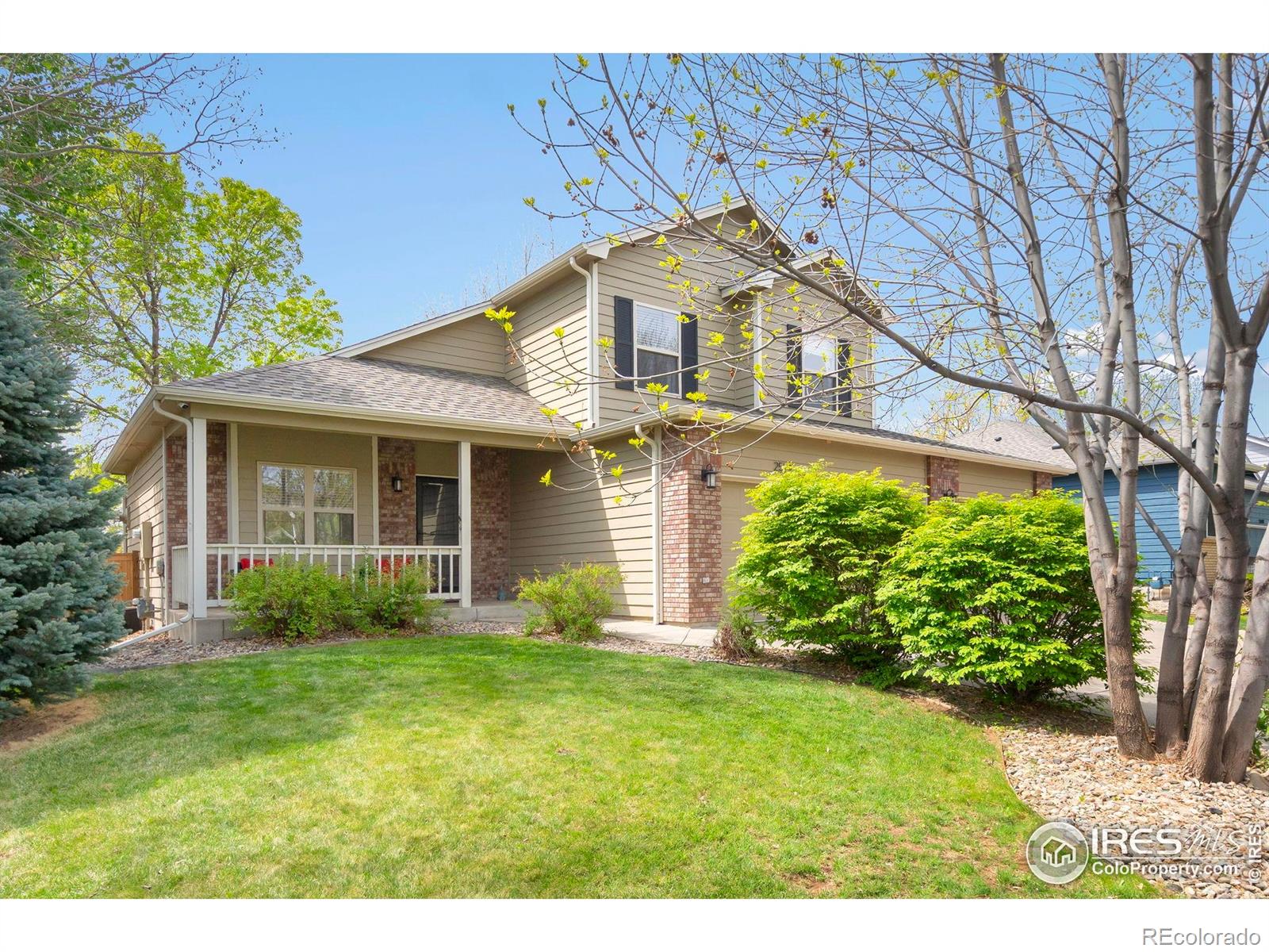 MLS Image #1 for 2524  forsythia drive,loveland, Colorado