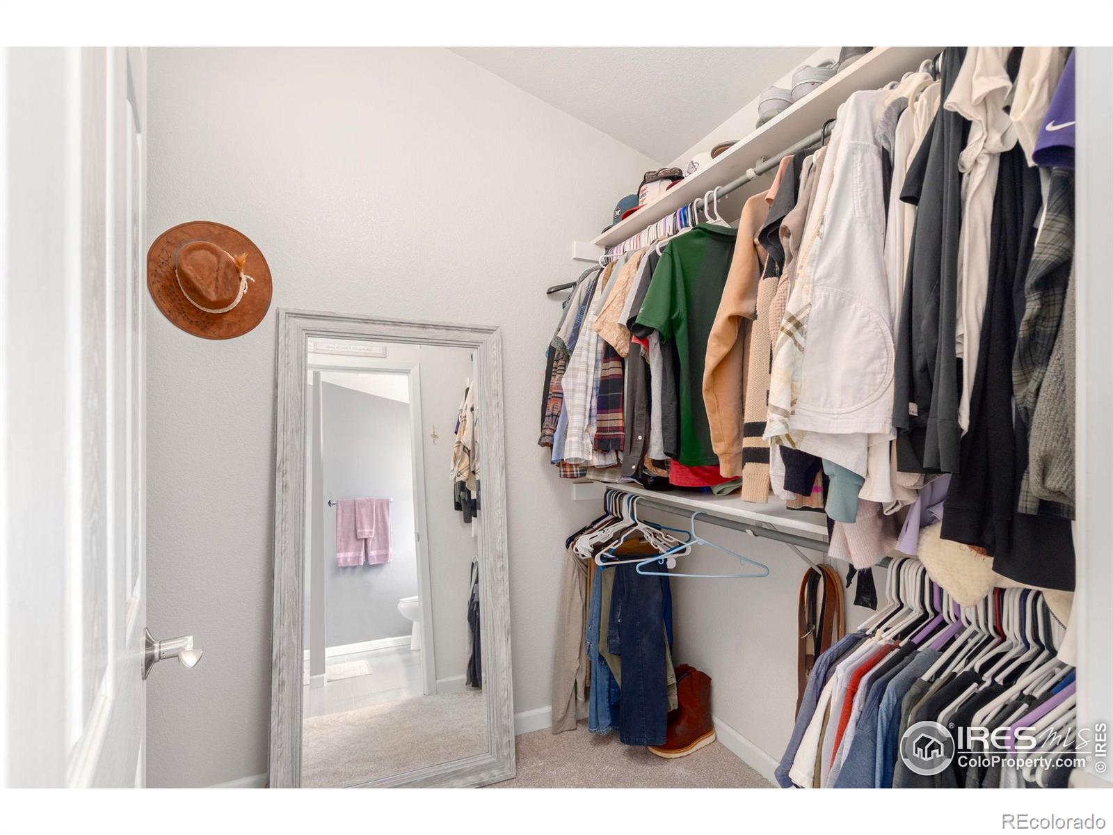 MLS Image #17 for 2524  forsythia drive,loveland, Colorado
