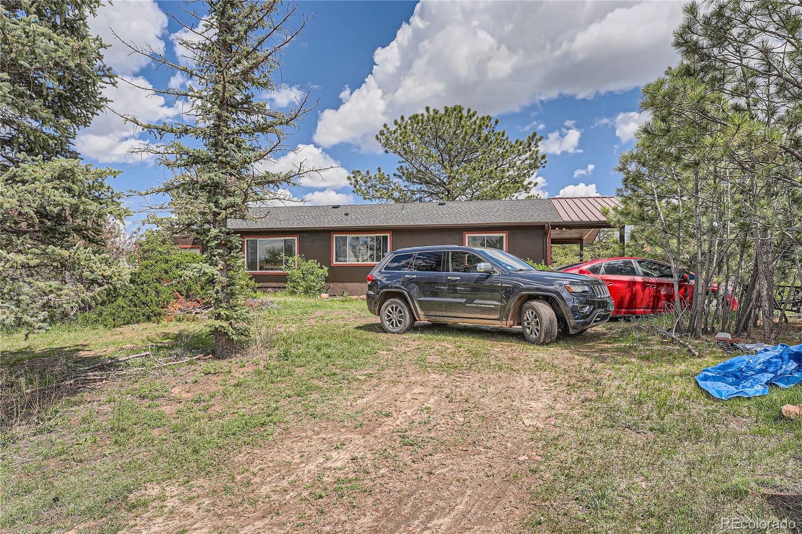 MLS Image #11 for 7715  rafter road,franktown, Colorado