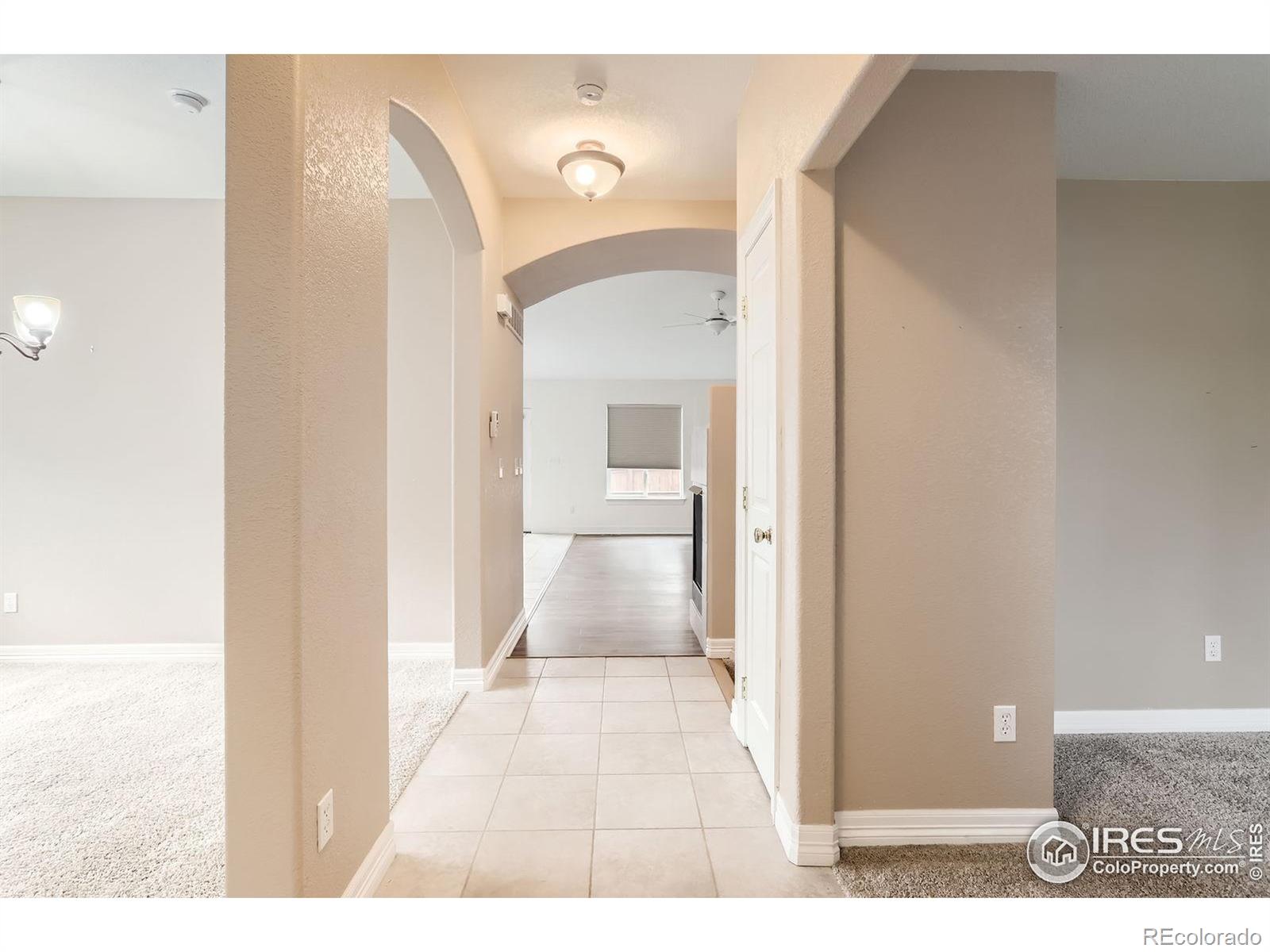 MLS Image #4 for 741  hallmark lane,longmont, Colorado