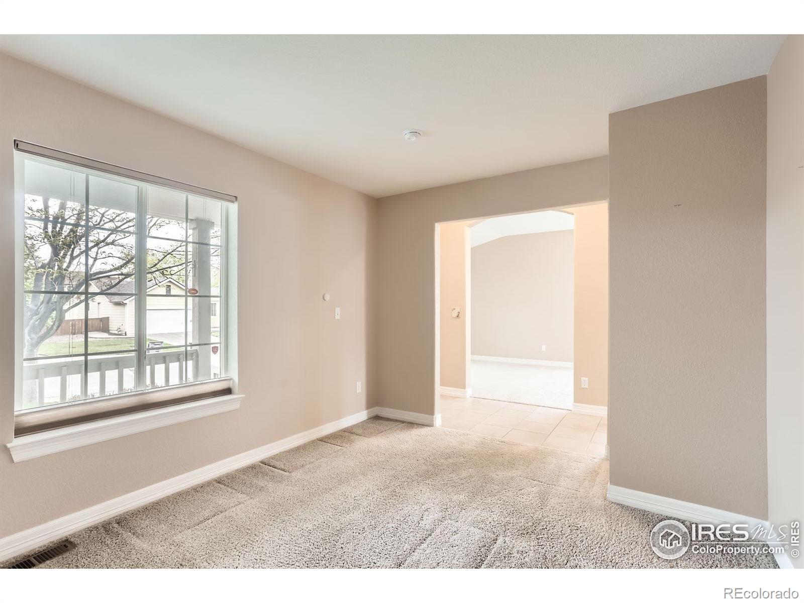 MLS Image #8 for 741  hallmark lane,longmont, Colorado