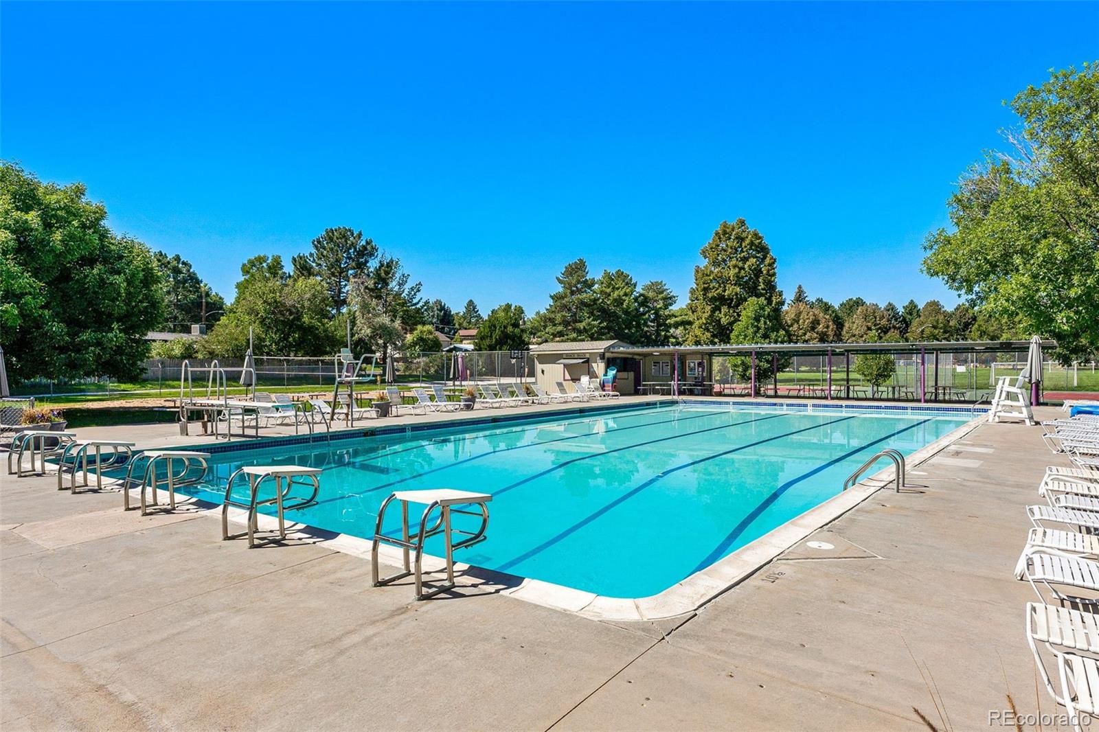 MLS Image #37 for 3404 s clinton court,denver, Colorado
