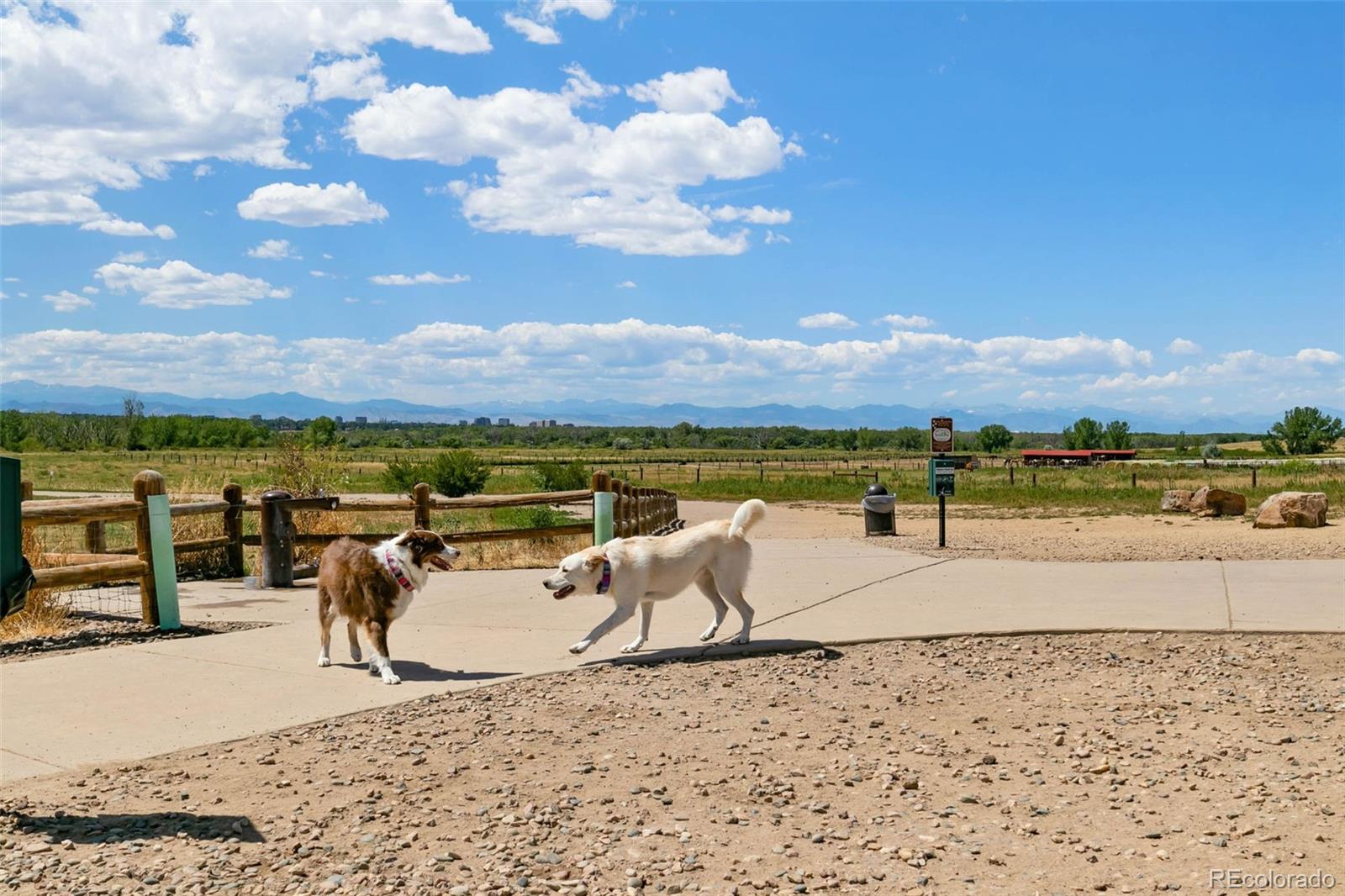 MLS Image #42 for 3404 s clinton court,denver, Colorado
