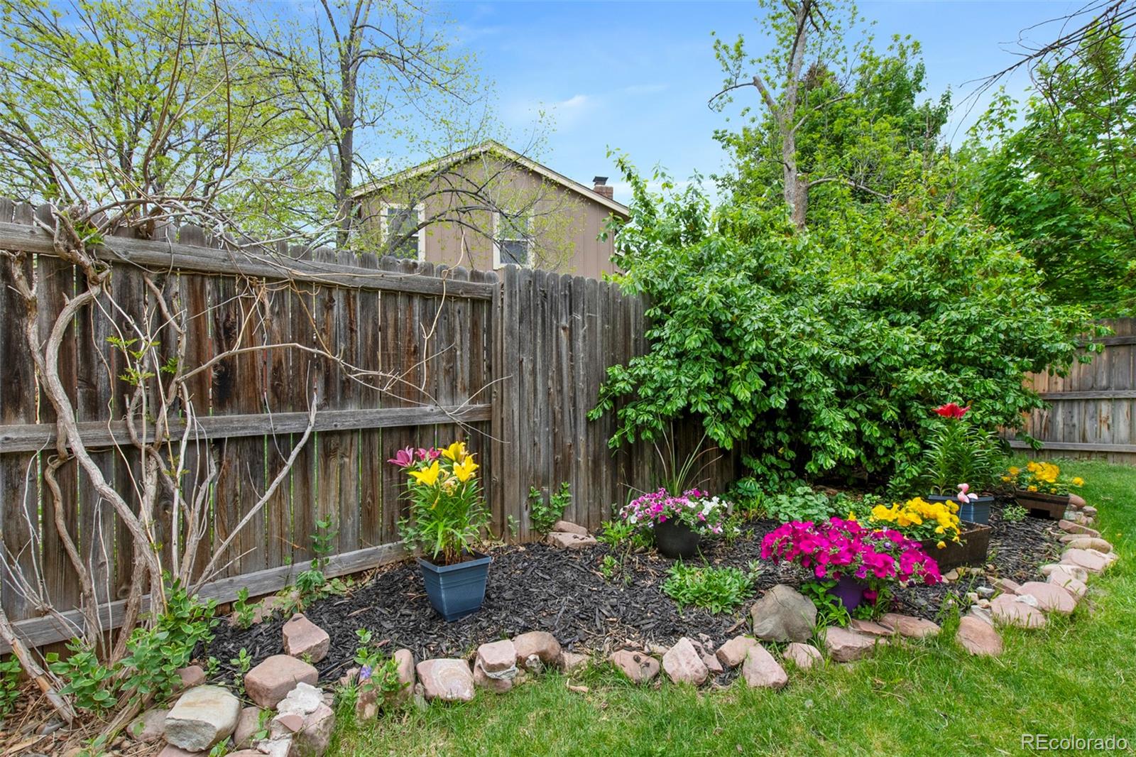 MLS Image #30 for 11245  san joaquin ridge,littleton, Colorado