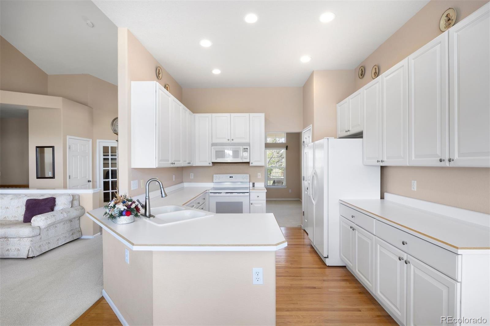 MLS Image #14 for 11558  pine hill way,parker, Colorado