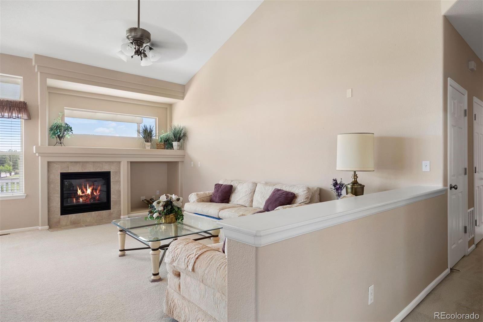 MLS Image #18 for 11558  pine hill way,parker, Colorado