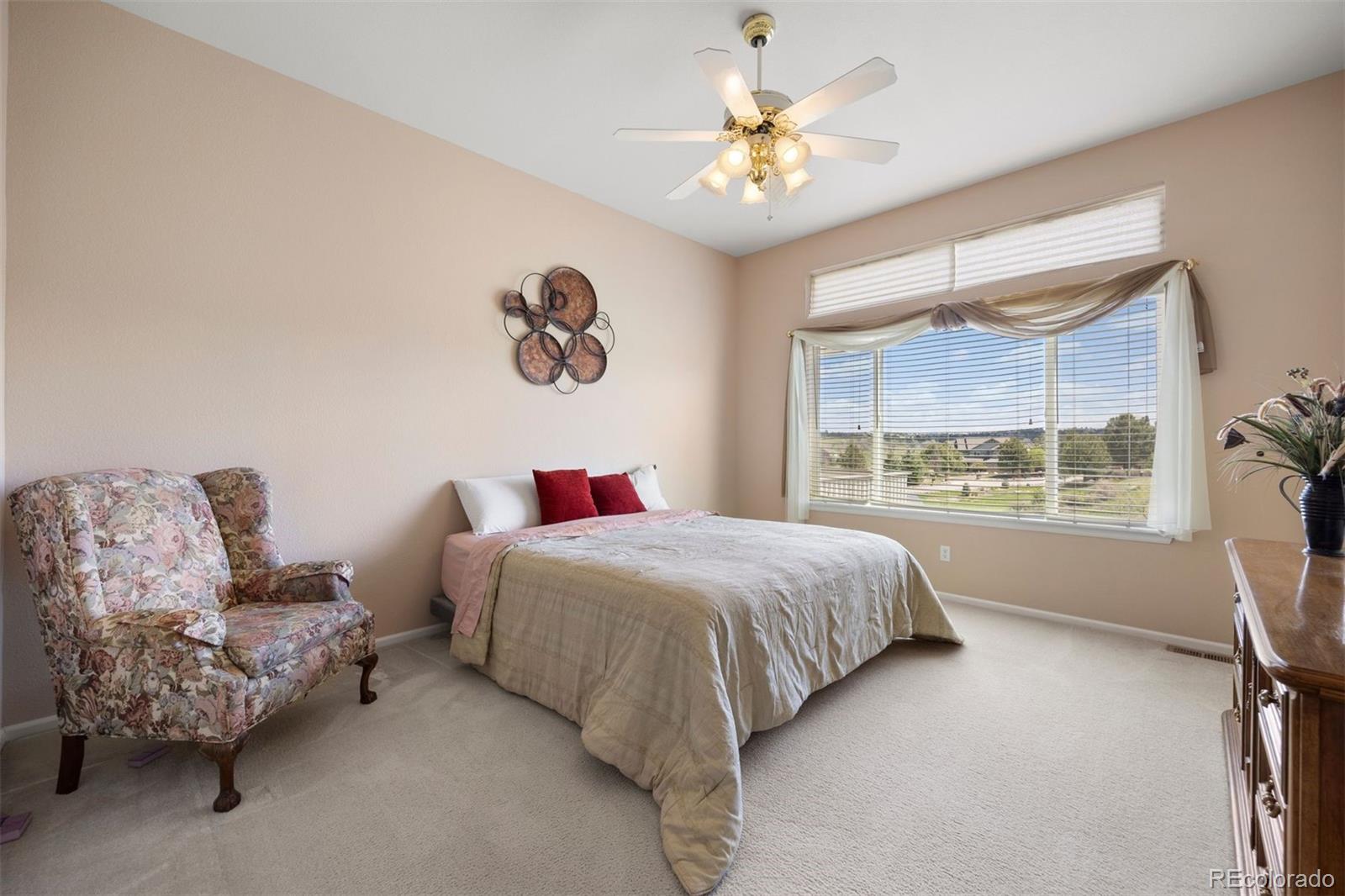MLS Image #19 for 11558  pine hill way,parker, Colorado