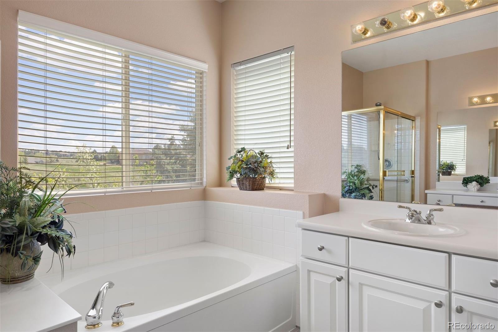 MLS Image #22 for 11558  pine hill way,parker, Colorado