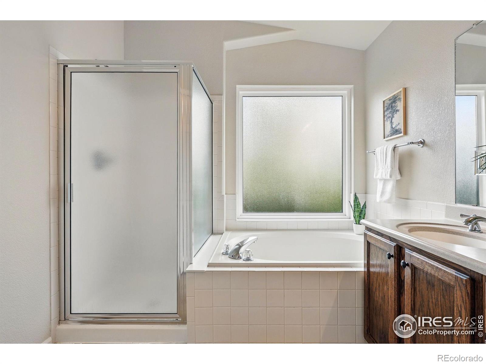 MLS Image #18 for 1684  holeman drive,erie, Colorado