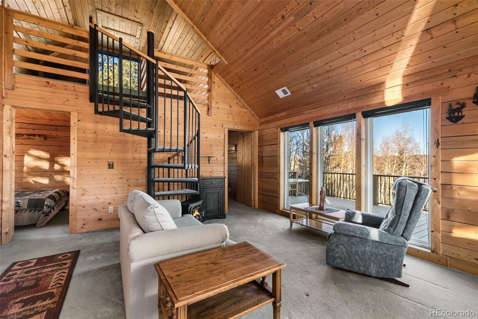 MLS Image #10 for 753 n teton trail,como, Colorado
