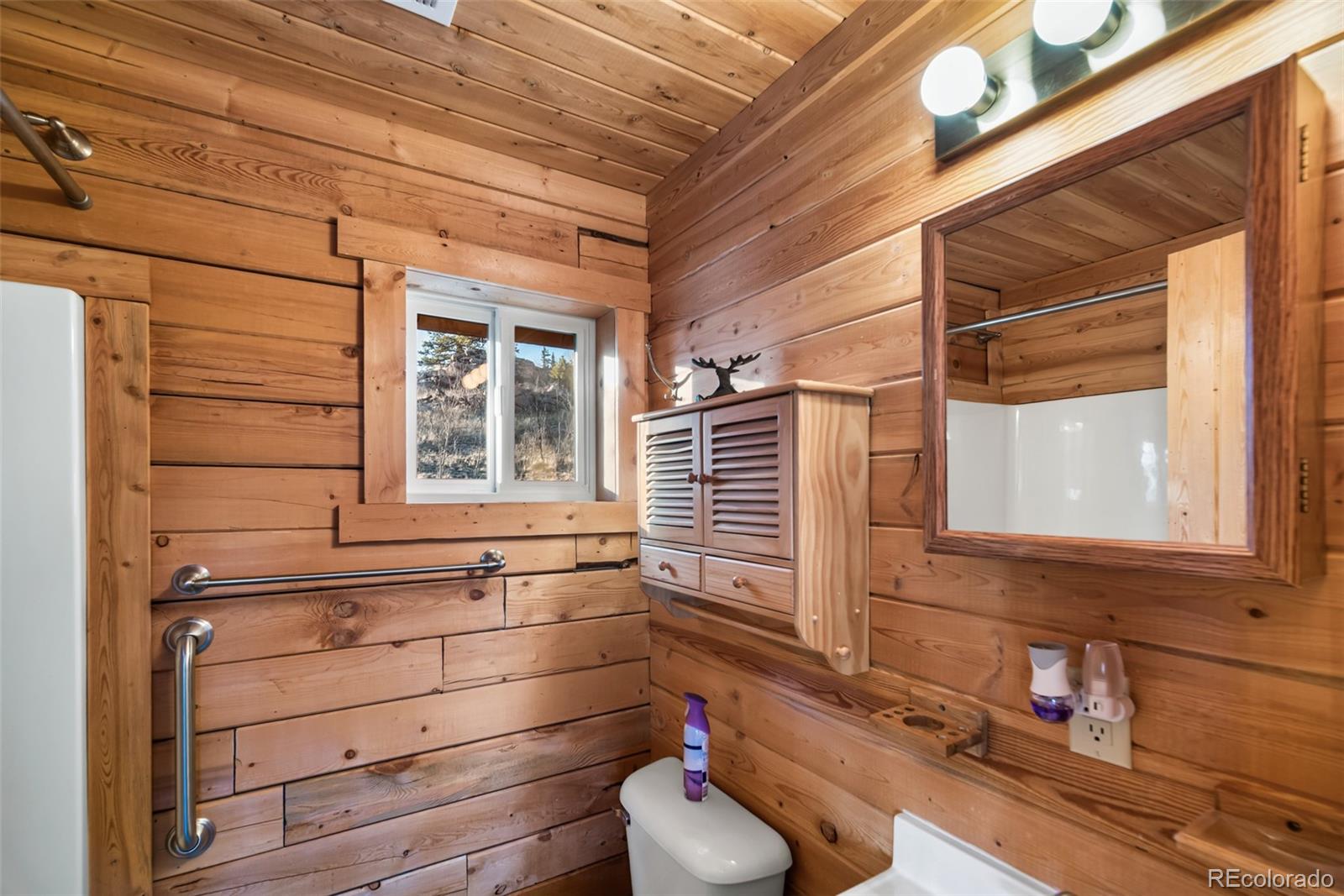 MLS Image #19 for 753 n teton trail,como, Colorado