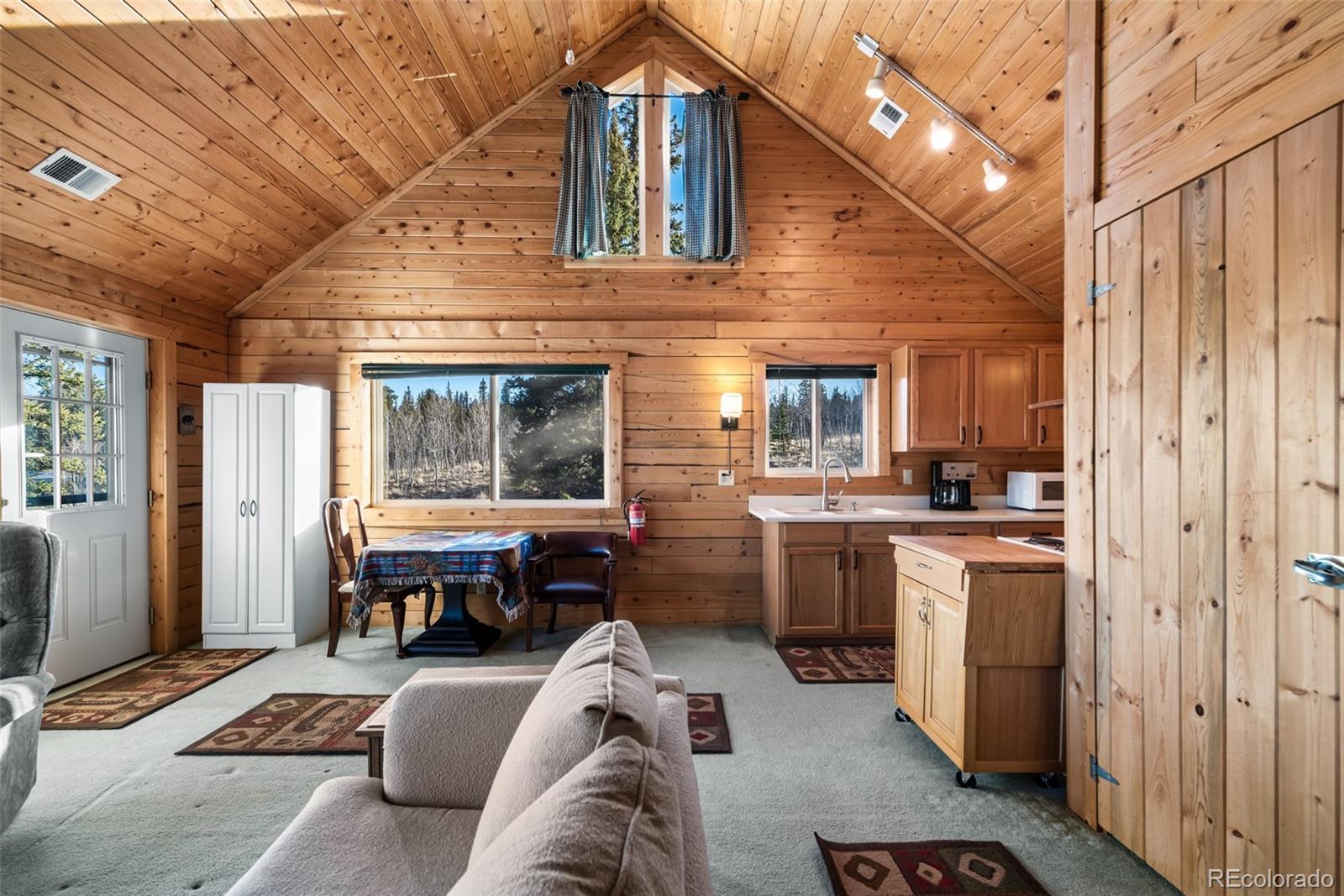 MLS Image #8 for 753 n teton trail,como, Colorado