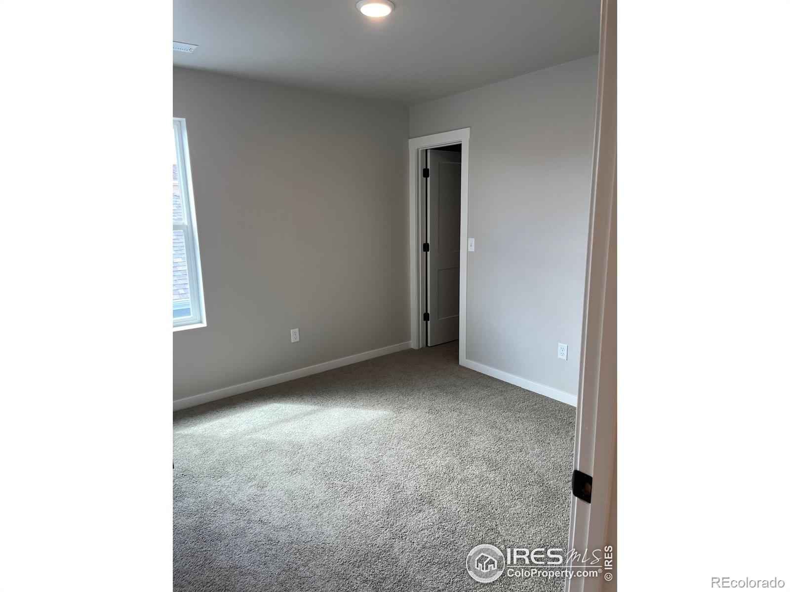 MLS Image #8 for 3209  robud farms drive,fort collins, Colorado